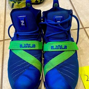 Lebron James Nike. Limited edition color. Good condition.